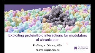 Exploiting proteinlipid interactions for modulators of chronic pain [upl. by Speroni721]