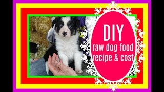 DIY Raw Dog Food COST and RECIPE [upl. by Drarrej243]