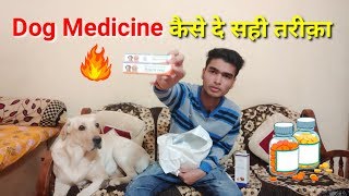 Dog ko medicine kaise de  dog ko dawai kaise de  Deworming kaise kare [upl. by Ahsienet555]