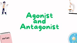 Agonists and Antagonist [upl. by Enelrahs]