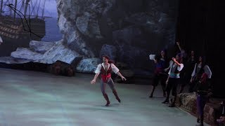 Ivan Vasiliev  Le Corsaire Variation 2nd Act  Mikhailovsky 08 02 2018 [upl. by Ahtela375]