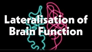 Hemispheric Dominance of the Brain [upl. by Deming]