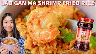 Lao Gan Ma Garlic Shrimp Fried Rice 🍤🍚 老干妈蒜香虾仁炒饭  Lao Gan Ma Fried Rice Recipe  Chili Oil [upl. by Michella751]