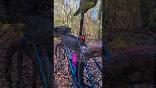 🚴‍♂️ TREK Checkpoint SL7  Gravel Bike in the Woods  Theyll Never Know Why 🚴‍♂️ [upl. by Salomone505]