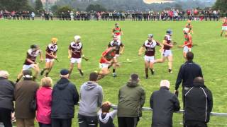 Wexford GAA TV I U21 Wexford Premier Hurling final from 2014 [upl. by Legim]