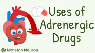 Uses of Adrenergic Drugs  Sympathomimetic Drugs Pharmacology  Adrenaline Noradrenaline etc [upl. by Schilling]