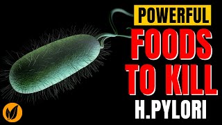 Powerful Foods that Combat H Pylori Helicobacter pylori [upl. by Hnahk]