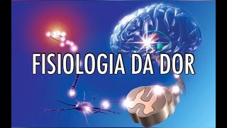 Resumo de Fisiologia da Dor [upl. by Dale]