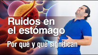 👨🏻‍⚕️ Ruidos en el Estómago ¿por qué se producen estos ruidos y qué significan 💥 [upl. by Rellim]