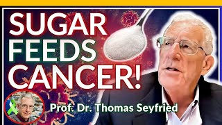 Prof Thomas Seyfried Full Interview  How KETO DIET Works in CANCER [upl. by Ynnaffit570]