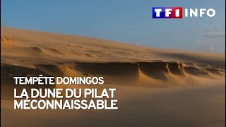 La dune du Pilat resculptée par les vents [upl. by Yann607]