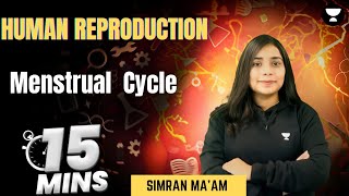 Menstrual cycle  Menstruation  NEET 2025 [upl. by Ardnauq849]