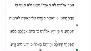 Initiation à l’hébreu biblique  3bis Genèse 315 [upl. by Rasaec]