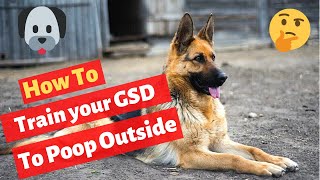 German Shepherd Poop Training  Effective GSD Potty Training Tips [upl. by Berlinda]