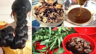 Homemade Amla hair oil for hair growth grandmas SECRET hair oil recipe for super thick long hair [upl. by Eisus]