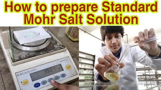 Prepare Standard Mohr Salt Solution in Hindi M10 in 100mL Chemistry Practical  Science Think [upl. by Terena]