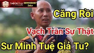 Sư Thầy Thích Minh Tuệ Có Giả Tu Hay Không Qua Chia Sẻ Của Các Cao Tăng  Luật Sư Vlogs [upl. by Aimal977]