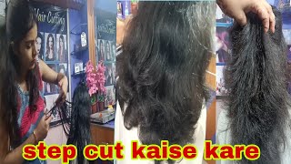 How To Do Step Hair Cut In Just 4 Stepsstep cut kaise karte hainstep cut kaise karen [upl. by Yasmar]