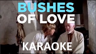 Bad Lip Reading  Bushes of Love  Karaoke [upl. by Benkley]