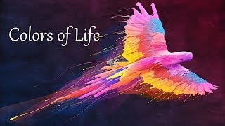 Colors of Life Quotes [upl. by Missi]