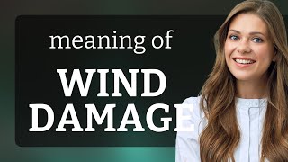 Understanding quotWind Damagequot An English Language Guide [upl. by Kress]