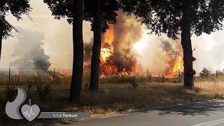 Primeur veel brandweer met spoed bij natuurbrand op park de hoge Veluwe in Otterlo [upl. by Ednew]