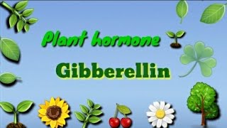 GibberellinPlant hormone 🌱Physiology and effect in Hindi amp English 🤗 [upl. by Lauri237]