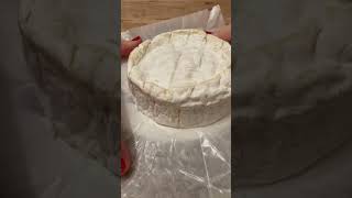 Opening Camembert Cheese  Le Rustique [upl. by Reniti]