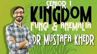 Kingdom fungi and planate senior 12nd term  دكتور مصطفي خضر [upl. by Hamimej]