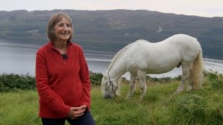 Major sighting at Loch Ness turns out to be m̶o̶n̶s̶t̶e̶r Rehomed Horse of the Year [upl. by Normak]