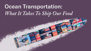 Ocean Transportation How Container Shipping Works For Food [upl. by Johnnie856]