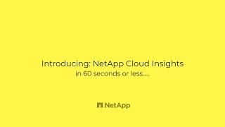 NetApp Cloud Insights in 60 seconds or less [upl. by Enetsuj969]