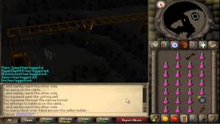 DorgeshKaan Agility Course  Getting Started Guide [upl. by Nilkoorb]