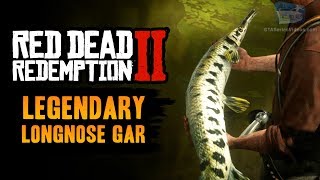 Red Dead Redemption 2 Legendary Fish  Legendary Longnose Gar [upl. by Catherina]