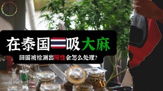 泰国吸完大麻回国被检测出阳性会怎么处理？ [upl. by Sheng]