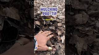 MULCHING ProTIP👏🏽  gardening mulching [upl. by Idnew347]