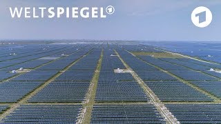 Energiewende in China Plötzlich Vorreiter beim Klimaschutz  Weltspiegel [upl. by Assyle]