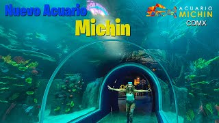 ¡Explorando el INCREÍBLE Acuario MÁS GRANDE DE LATINOAMÉRICA 🌊🐟  Acuario Michin CDMX 🇲🇽💦 [upl. by Annadal]