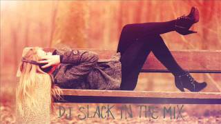 Hands Up N Dance Mix 20  Februar 2012  DJ Slack [upl. by Adnelg]