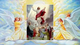 Holy Rosary  Glorious Mysteries  Wednesday amp Sunday [upl. by Collayer]