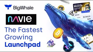 BigWhale Launchpad  Willy Coin  Mavie Finup Project [upl. by Hayley95]