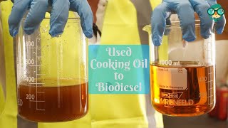 How to Make Biodiesel from Used Cooking Oil at Home How Do You Make Biodiesel from Cooking Oil [upl. by Polish]