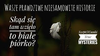 Skąd wzięło się w jej włosach białe piórko Wasze prawdziwe niesamowite historie [upl. by Sioled702]