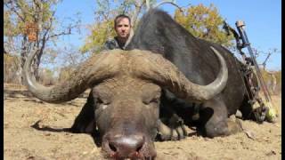 Complete PassThrough on a Cape Buffalo  Down in 2515 Seconds  GrizzlyStik Arrow amp Broadhead [upl. by Kinchen]