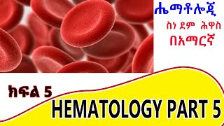 Formation of white blood cells  Leukopoiesis ክፍል 5 [upl. by Eenram]