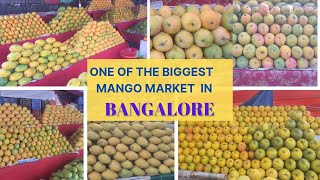 ONE OF THE BIGGEST MANGO MARKET IN BANGALORE  20 DIFFERENT VERITIES OF MANGOES AVAILABLE [upl. by Ainitsirc]