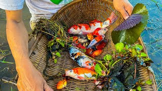 Unbelievable Found and catch a lot of goldfish in wild pond with MyGoldFish [upl. by Ackerman]