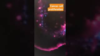 Cancer cell proliferation  Biomedical Research [upl. by Attenod60]