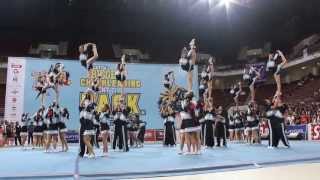 Awesome AllStars at the CHEER 2013 Finals [upl. by Moitoso]