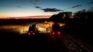 Lohnunternehmen Steenweg  Krone Big X 1100 Deutz Maishäckseln in der Dämmerung  Phantom 3 Pro [upl. by Ettegdirb]